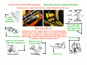 Kettingsmeersysteem Loobman AB Dynamic Kettingsmeersysteem Loobman AB Dynamic